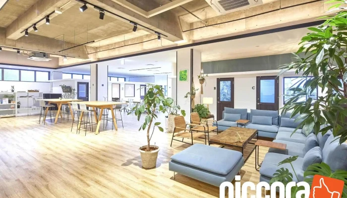 株式会社cacumo - 名護市
