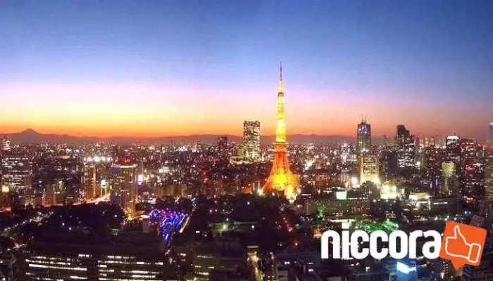 株式会社sdコンサルティング - 四日市市