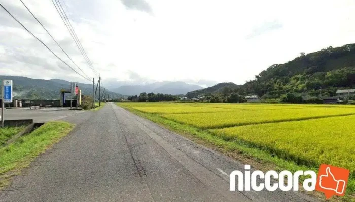 株式会社エス・テイ・アイ - 垂水市