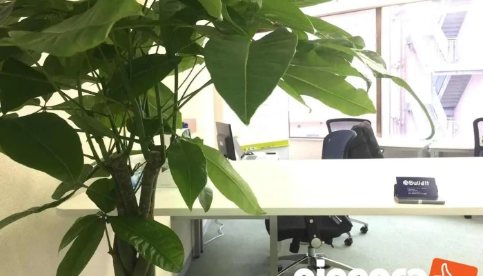 株式会社ビルディット - 八王子市