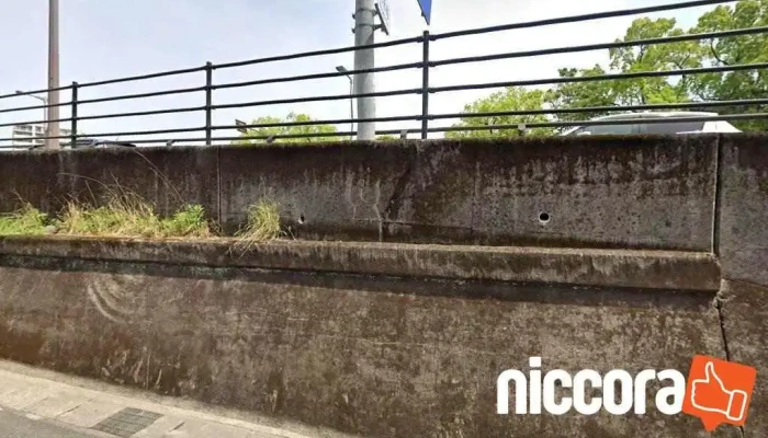 特定非営利活動法人 Itかごしま支援隊 - 鹿児島市