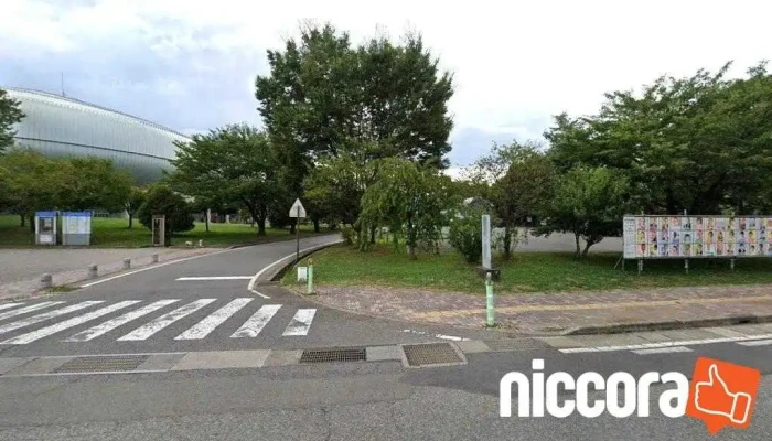 長野カー・コンサルタント - 長野市