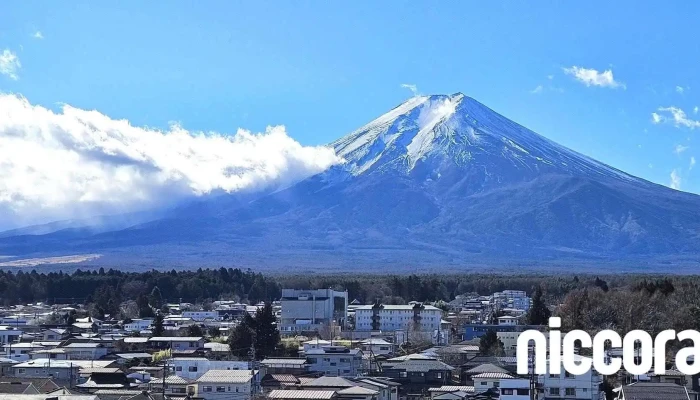 （有）富士リスクコンサルティング - 富士吉田市