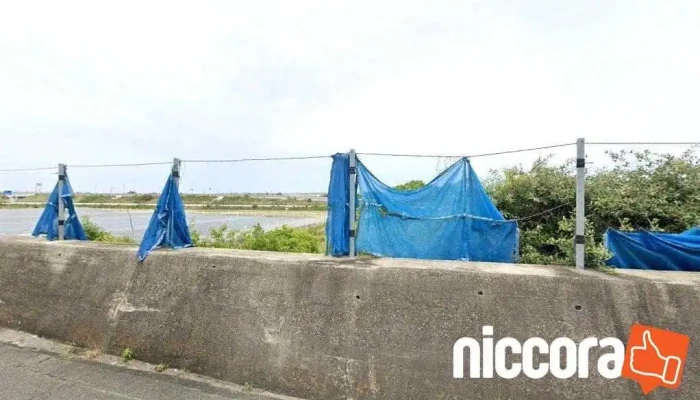（株）徳島総合コンサルタント - 徳島市